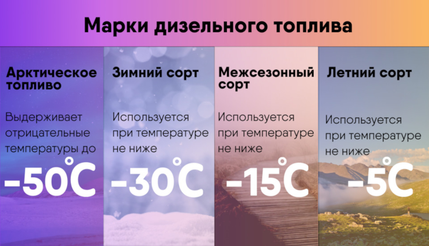 55230_03.jpg